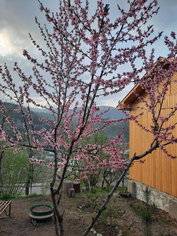 Family Dilijan Exterior foto